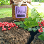 caponata de berinjela 2