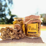 caponata de cogumelo 1